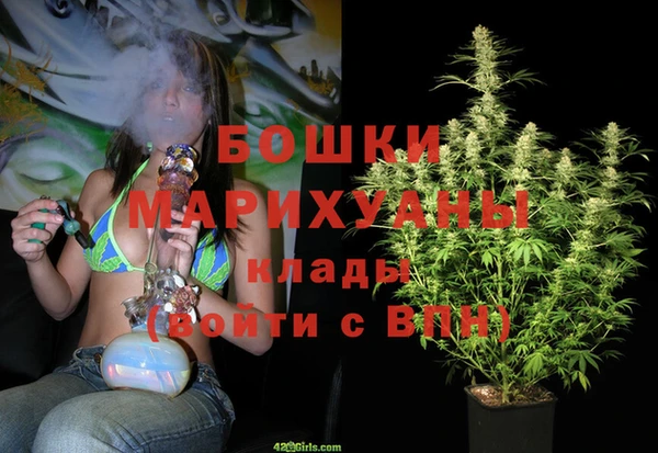 дурь Алзамай