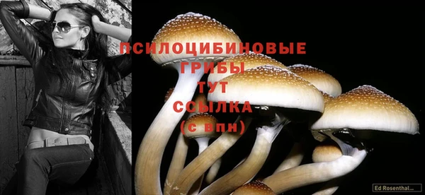 винт Алексин