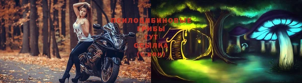 МДПВ Алексеевка