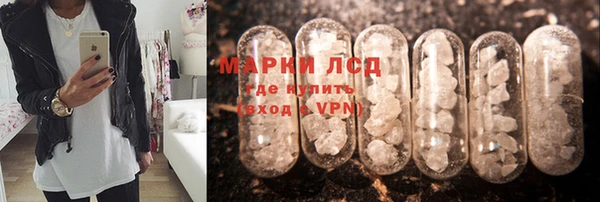 дурь Алзамай